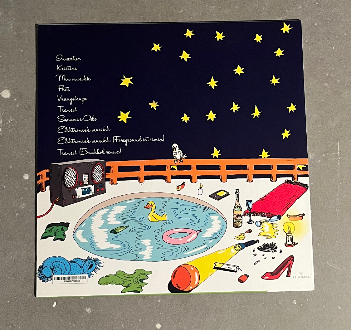 Vinyl - Fløte (ØDELAGTE COVER)